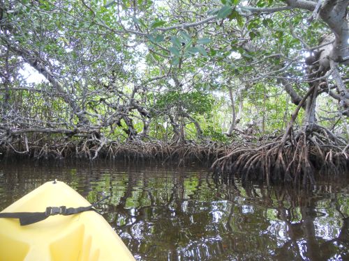 ??????????????????????????????