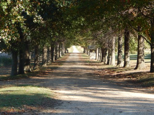 Williamsburg 2014 136